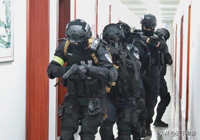 特警和武警有什么区别，武警和特警的区别有什么（特警比特种兵更专业）