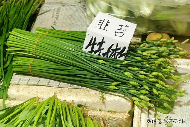 小葱和大葱的区别，小葱和大葱的区别有哪些（国内葱属蔬菜大全，你认识几个）