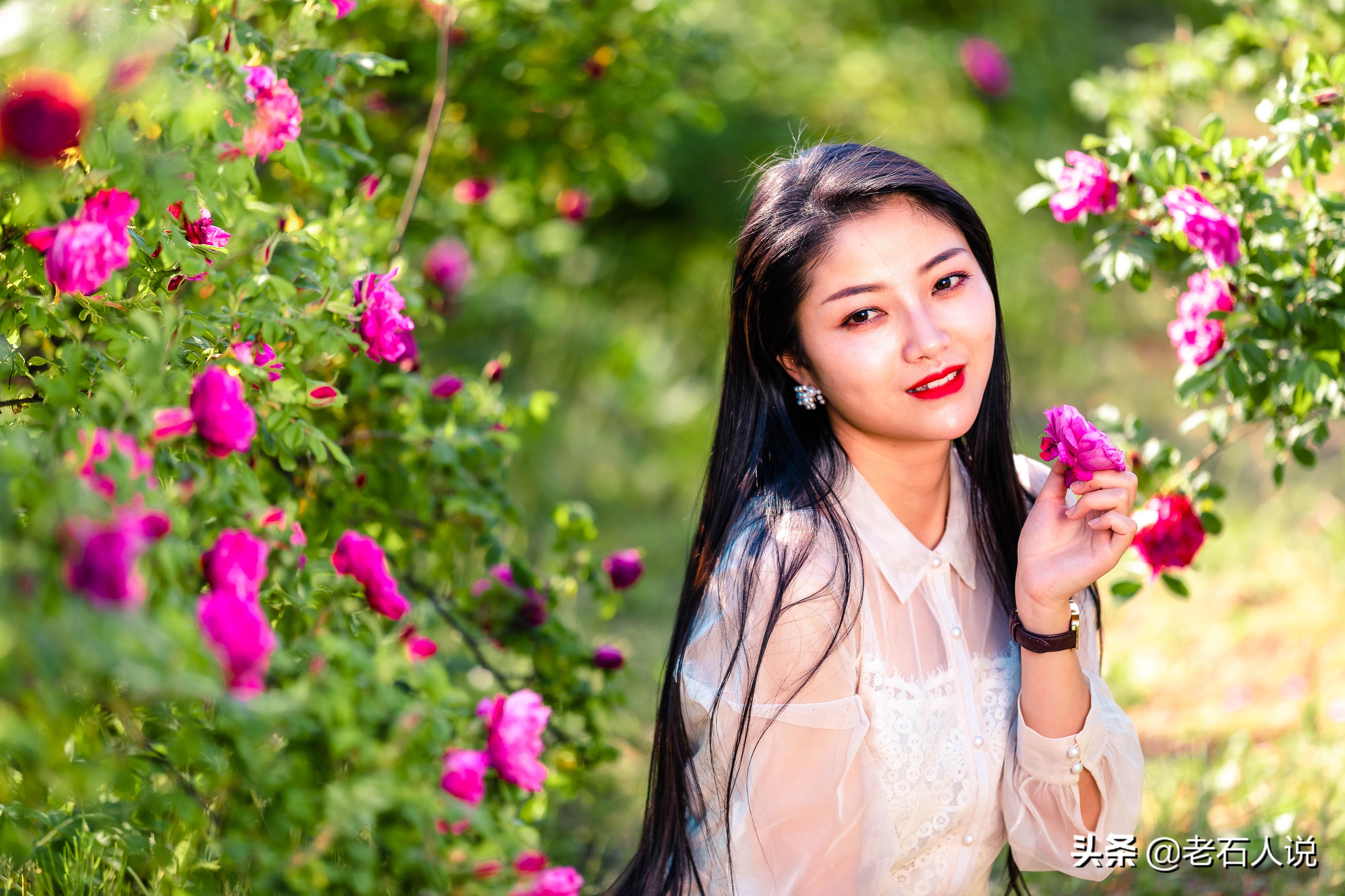 玫瑰花开的季节，玫瑰花在什么季节长出来（玫瑰花在什么季节长出来的）