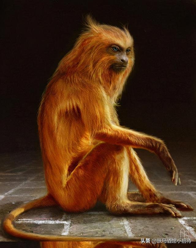 黄金罗盘尘埃是什么，黄金罗盘和黑暗物质（深入分析《黑暗物质三部曲之黄金罗盘》失败的真正原因）