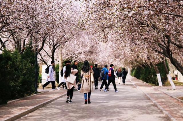 山东师范大学2021级本科新生大数据，厦门潍坊人数遥遥领先（山东师范大学2021年本科录取通知书正式发布）