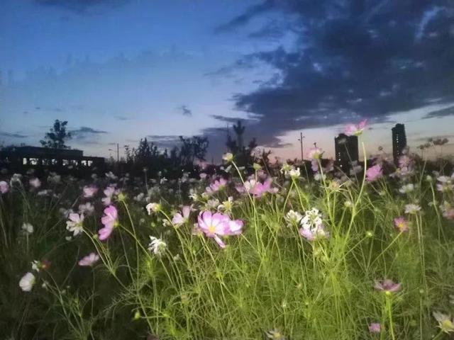 吉林师大博达学院，2021吉林师范大学博达学院排名（<五>吉林师范大学博达学院）