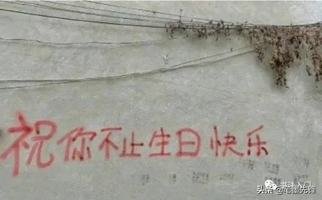 街头涂鸦文字背景图，街头字母涂鸦图片素材（最受欢迎的街头文字）