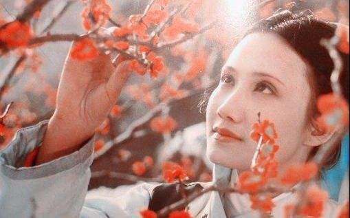 红楼梦金陵十二钗人物，红楼梦金陵十二钗人物梳理（12个绝色女子性格虽不同）