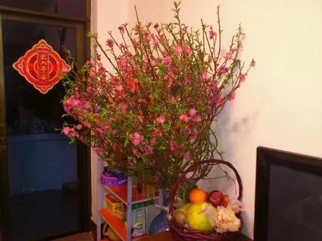 桃花的寓意和花语，桃花的花语和寓意
