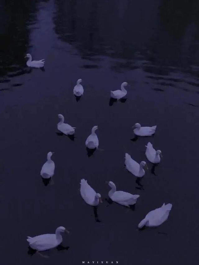 紫色系超好看背景，好看的背景紫色（紫色系朋友圈背景图～）