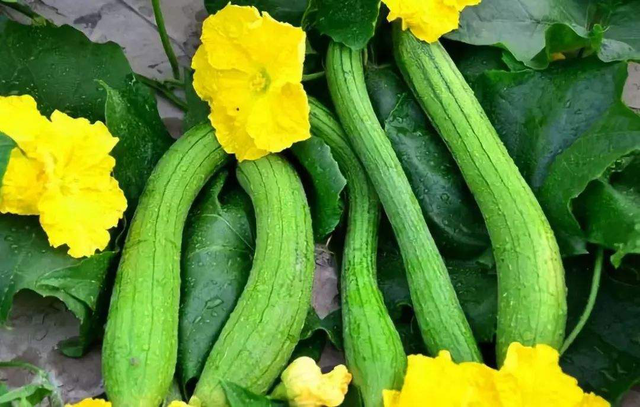 4种有效的催乳食物，什么食物催乳最有效（奶水不足要吃下奶的食物）