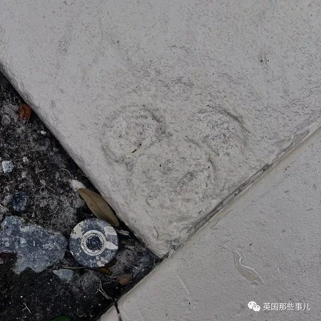 fantasy是什么意思，“fantasy”的中文是什么意思（死忠粉都不一定知道）