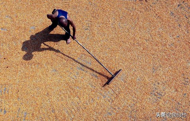 地坝是什么，土坝子是什么意思（在农村，谁家还没个地坝）