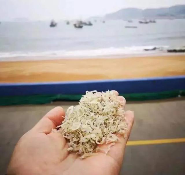 海蜒干怎么做好吃法,海蜒干可以直接吃吗(小小海蜒鲜的让你眉毛掉下来) 海蜒干怎么做好吃法,海蜒干可以直接吃吗(小小海蜒鲜的让你眉毛掉下来)
