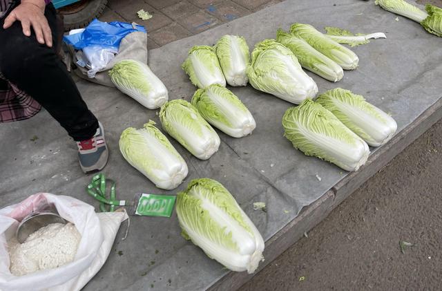 辽宁最穷十大城市排名，辽宁最穷的五个市（本溪、铁岭、阜新谁能在2019翻盘呢）