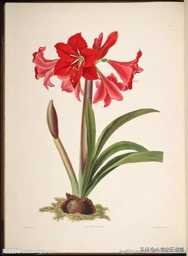 秃宝盖加几念什么字，秃宝盖加几（这些记生字的儿歌太有趣了）