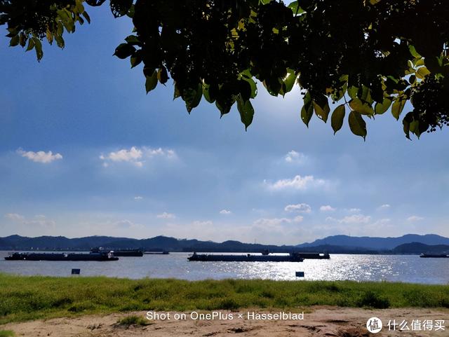 一加和oppo，一加手机是oppo的吗（谈谈我选择一加9Pro的购买取舍）