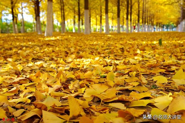 夕阳西下断肠人在天涯是什么意思，学霸们都在记这些意象的含义
