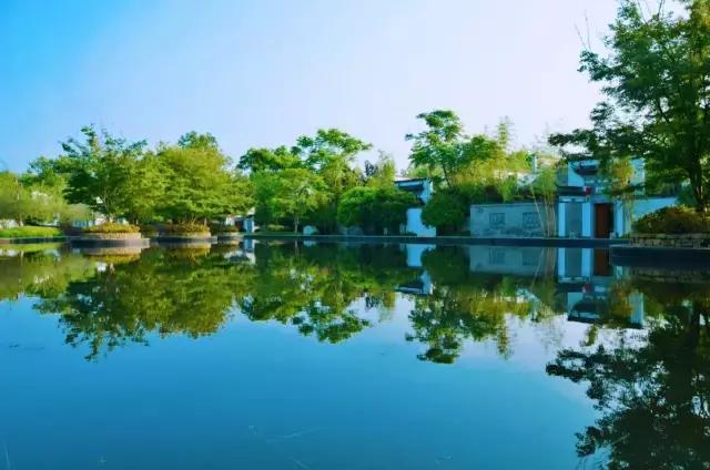 黄山哪里泡温泉好，黄山哪里泡温泉好些（选择这10家最美的酒店准没错）
