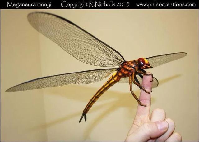 世界上最大的虫子，世界上最大的虫子是什么虫子（地球上已知的有史以来最大的昆虫）