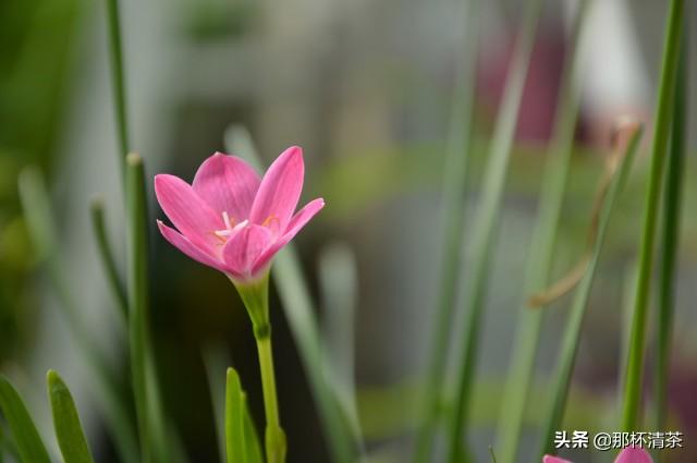 999777是什么意思，99977是什么意思（每个人心中都应该藏着这样一串数字）