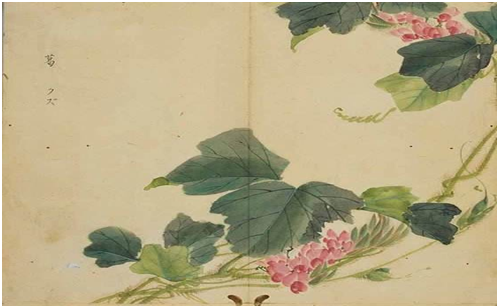 布衣蔬食的意思，布衣蔬食的意思英语翻译（从成语“布衣蔬食”简谈古人的吃穿）