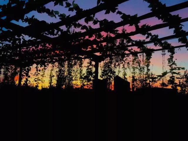 吉林师大博达学院，2021吉林师范大学博达学院排名（<五>吉林师范大学博达学院）