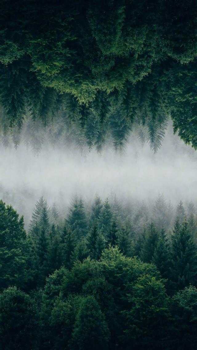 风景图片手机壁纸，超美风景手机壁纸高清（唯美手机锁屏风景壁纸）