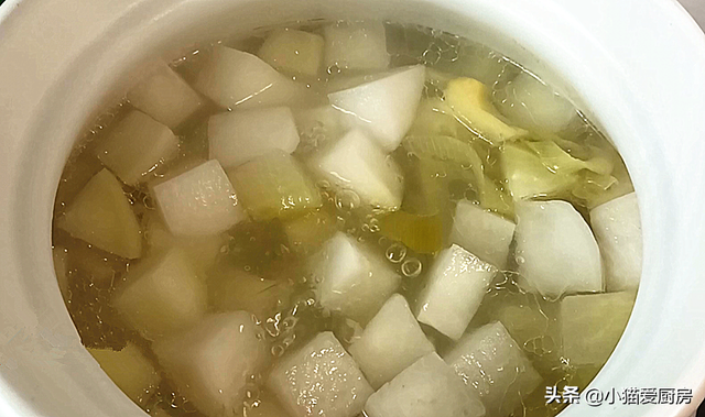 怎样煲萝卜猪骨汤，怎样煲萝卜猪骨汤好喝（过年后试一试这道“骨头萝卜汤”）