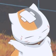 fish可数吗，鱼类fish可数吗（fish”难道是“一条穷鱼”）