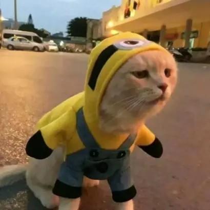 侧脸杀女头~，微信头像，侧脸杀女头~（搞怪头像单人女头）