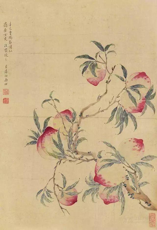 识慧（她一生未嫁）