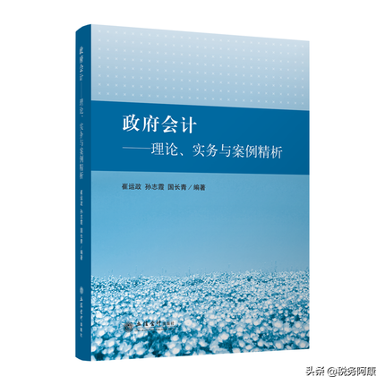 政府会计实务（政府会计）