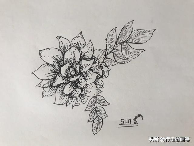 一张简单又漂亮的画，漂亮又简单的简笔画教程（简单又好看的线条画#一支笔画出你的世界）