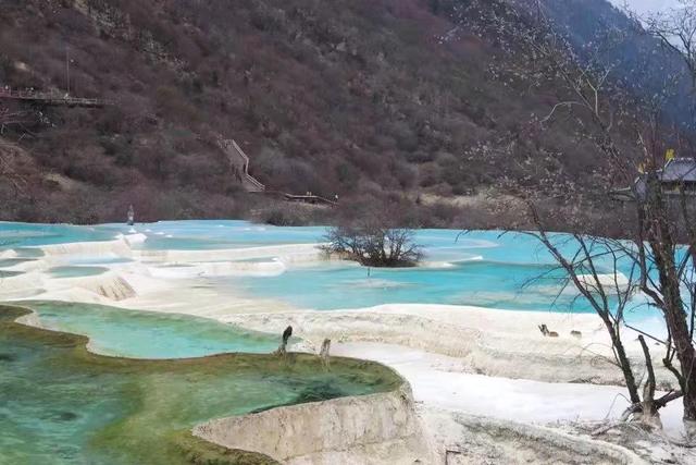 描写九寨沟的诗句，描写九寨沟的诗句加古代诗人（九寨沟108个高山湖泊）