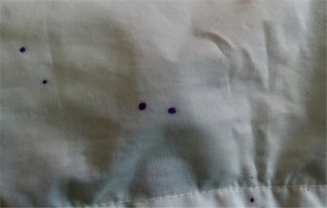 衣服沾上墨水怎么洗，衣服被黑墨水染了怎样洗下来（签字笔墨水弄到衣服上怎么洗）