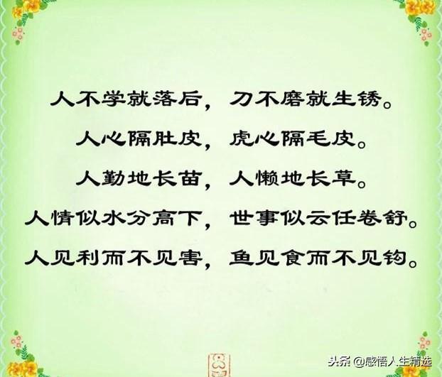 人无千日好花无百日红是什么意思，人无千日好花无百日红什么意思（人无千日好，花无百日红）