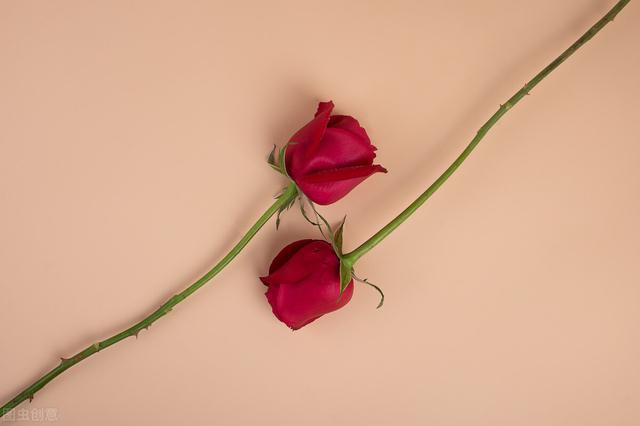 男人分手最怕你不纠缠，一个一直纠缠你不放手的男人（这样做才是完美的结局）