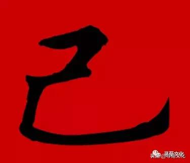 已是什么结构吗，已字结构是什么组词（己-汉字的艺术与中华姓氏文化荀卿庠整理）