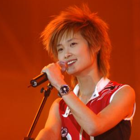 2011超级女声冠军，超级女声2016冠军（超女快男10位冠军现状）