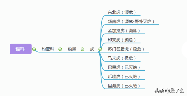 美洲豹和黑美洲狮有什么区别，一篇文章带你读懂大型猫科动物分类