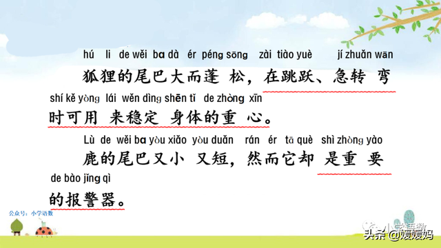 小壁虎的尾巴有什么功能，壁虎的尾巴有什么用（一年级下册语文课文21《小壁虎借尾巴》图文详解及同步练习）