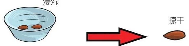 三色堇什么时候开花，三色堇在什么季节开花（这样栽培三色堇才能“情深色浓意绵长”）