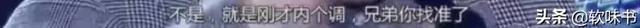 还音是什么意思，唱歌还音是什么意思（和打压新歌手的韩红）