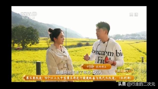 微博怎么看直播，微博怎么看关注人直播（微博直播连麦攻略）