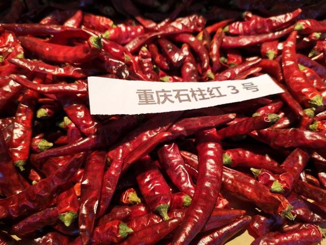 又细又长的干辣椒有哪些，品种繁多适用性广。今天给大家一起分享干辣椒品种