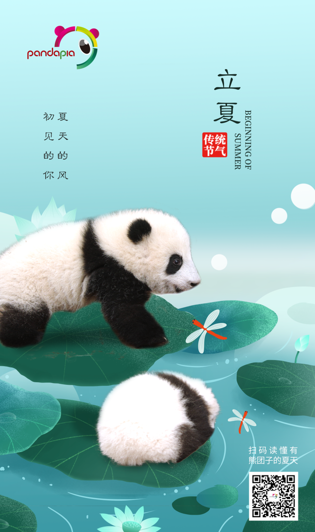 花柄花梗茎的区别，花梗和花茎的区别（一树一树的花花花花花花开）