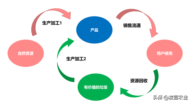 拾荒人是什么意思，拾荒者寓意（提倡资源闭环循环）