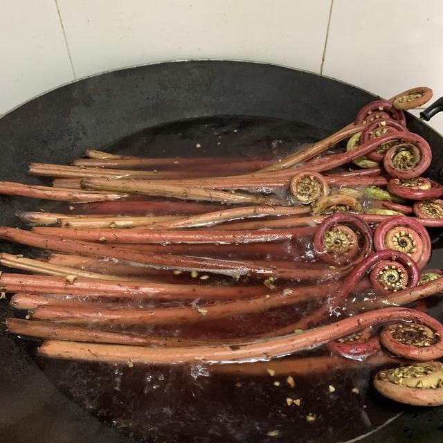 新鲜蕨菜怎么处理才能吃，新鲜的蕨菜怎么吃（春天随处可见的蕨菜）