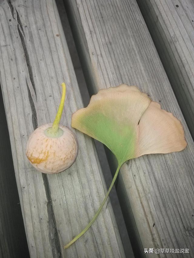 怎么炒白粿，怎么炒白粿好吃又简单（福建人才懂的美味）