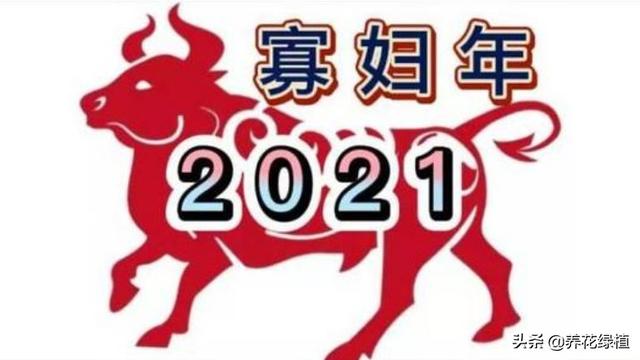明年什么年属什么生肖，明年是什么生肖（2021年是辛丑年）