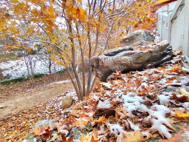 慌慌张张匆匆忙忙，匆匆忙忙慌慌张张是什么歌（慌慌张张，匆匆忙忙的一年）