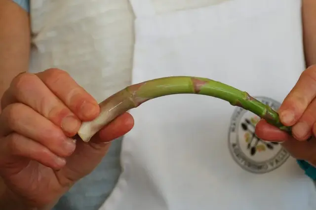 steam是什么软件，steam软件下载手机版（4月的芦笋“天生丽质”）