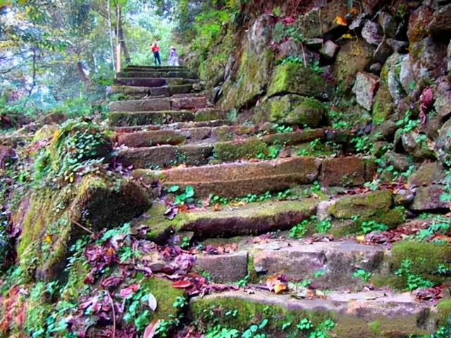 沽宁是现在的什么城市，沽宁是现在的什么城市啊（寻访景德镇古镇瑶里<图>）